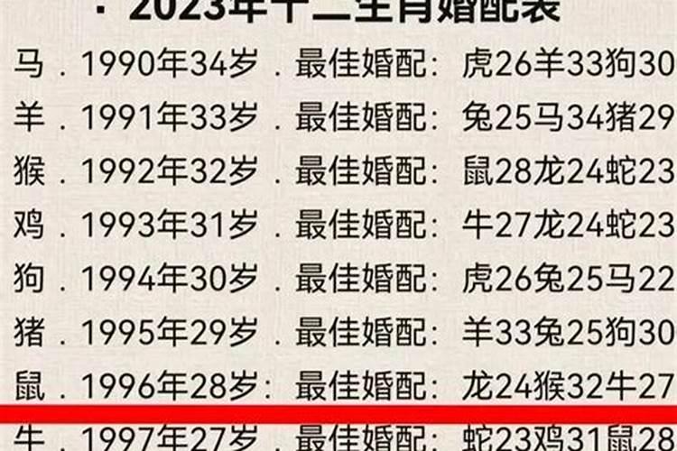 1996年生肖属什么的