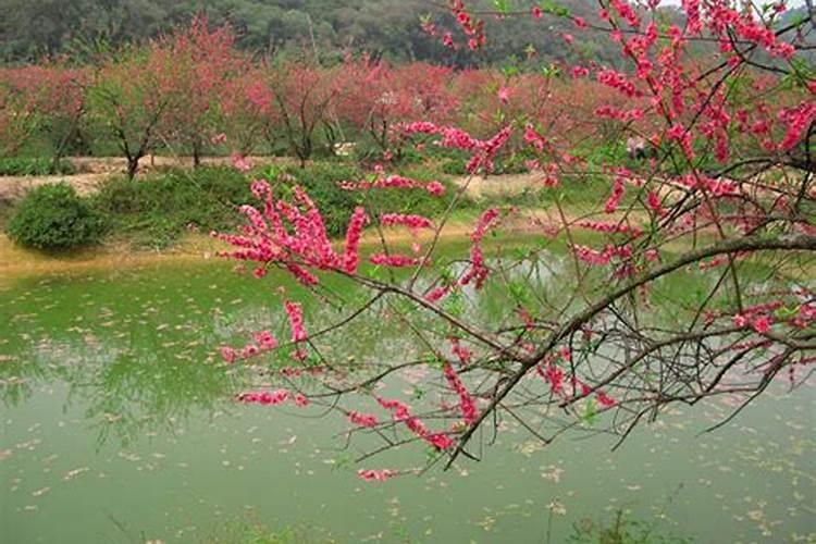 风水中的桃花水是什么意思