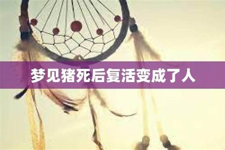 梦到别人死了又复活自己到哭醒了是什么意思