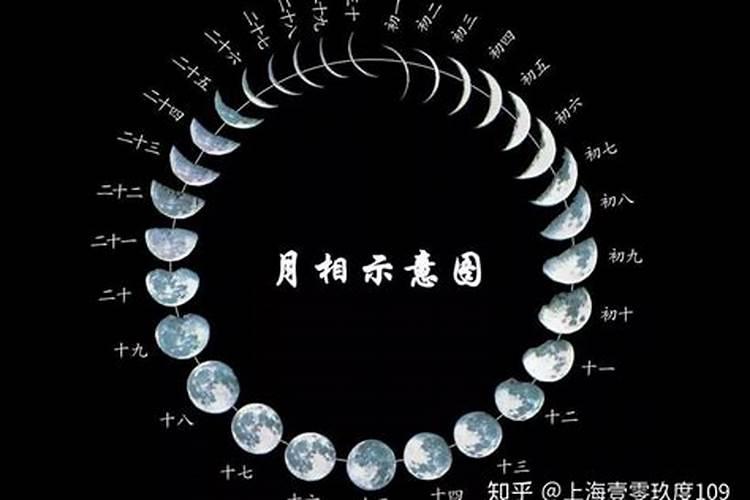 阴历正月初二是什么星座的