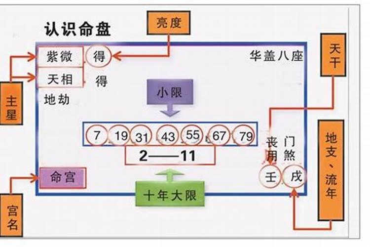 怎么看大限流年