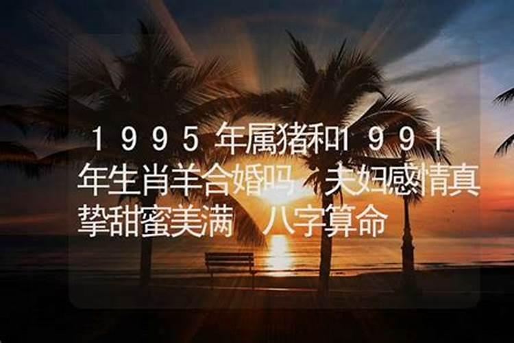 1991年属羊和1983年属猪能结婚吗