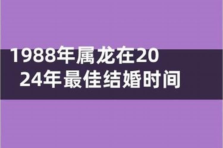 1988年龙的婚姻