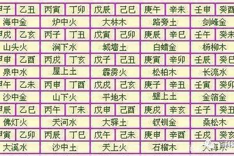 批八字纳音什么意思