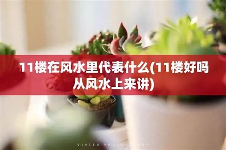 风水11楼为什么不吉利