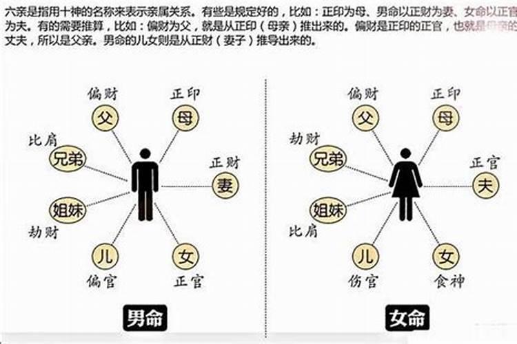 八字十神男女六亲看法