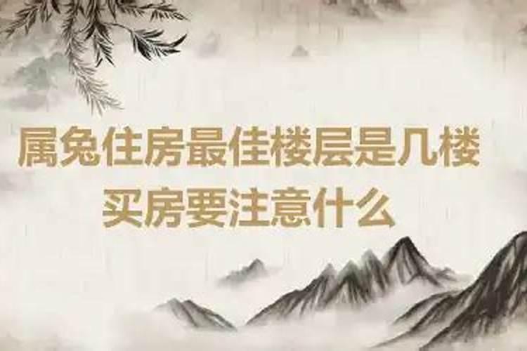 属马属兔适合的楼层