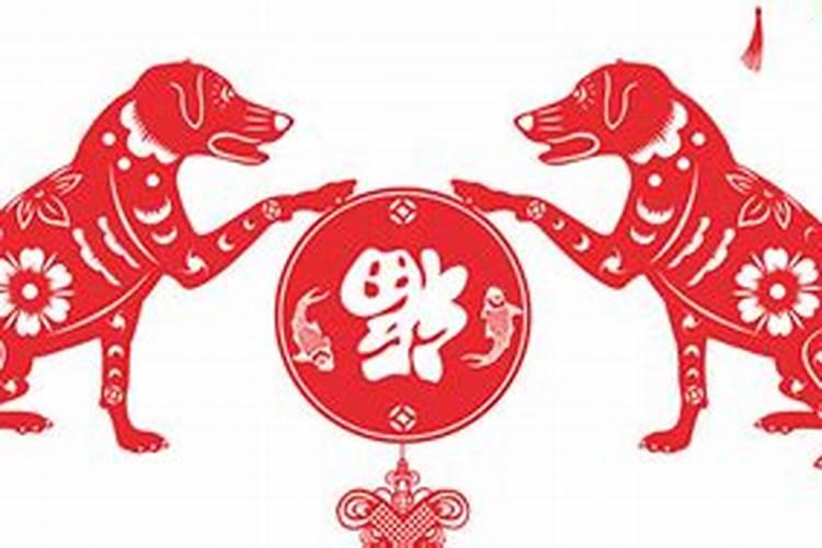 属兔是八几年的呀今年多大