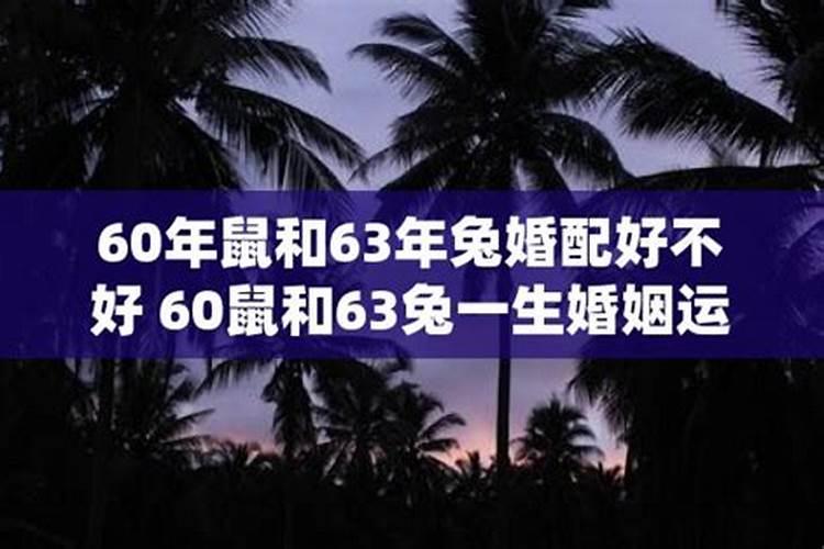 属鼠的人楼层住几楼比较好呢女生