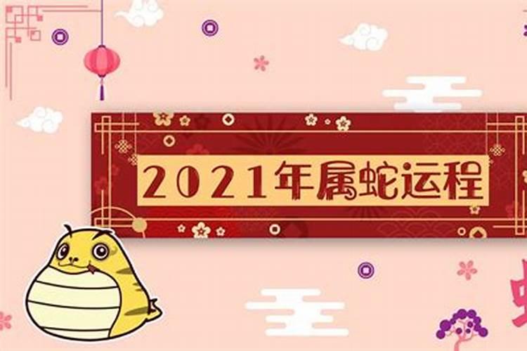 南翌说生肖2021生肖蛇的