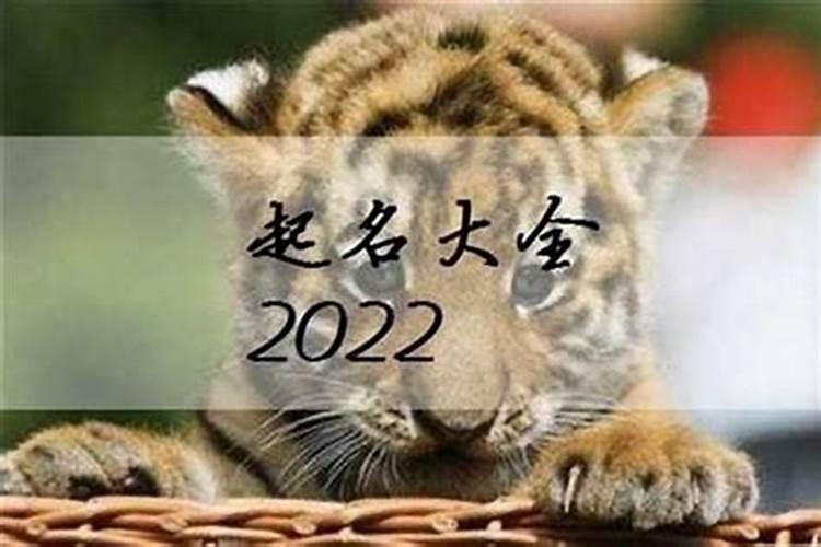 宝宝起名2023年属虎小名