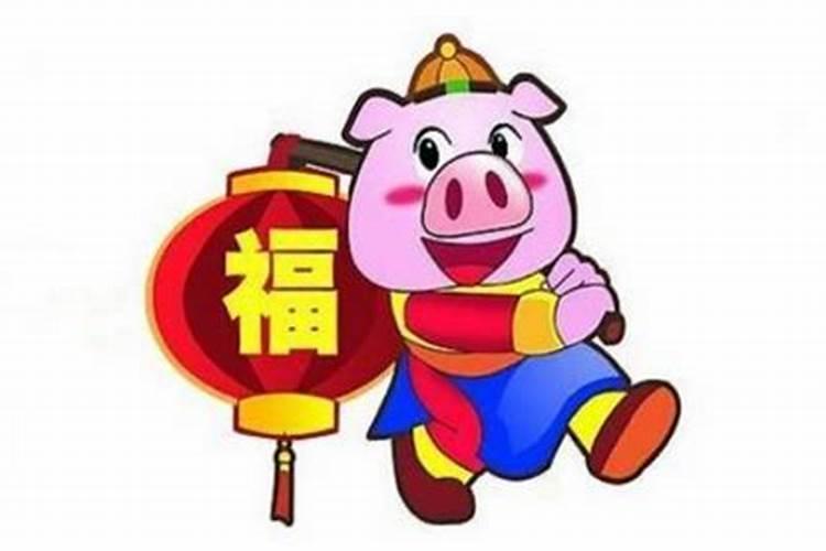 本命年运势猪需要佩戴什么吉祥物