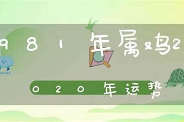 81年属鸡2020年10月运势及运程每月运程