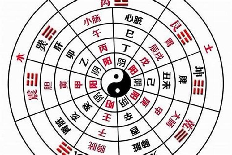 如何算时辰的八字