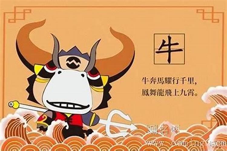 属牛11月21日出生是什么命