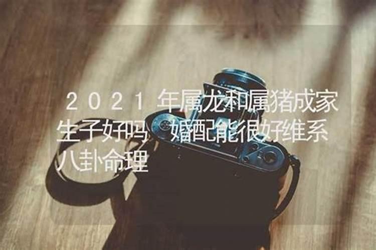 属马2021适合生子吗