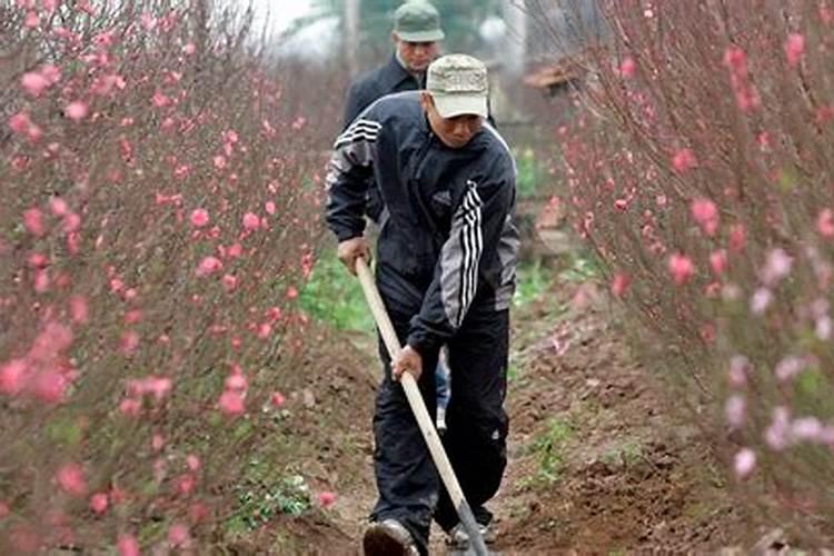 阻碍桃花运