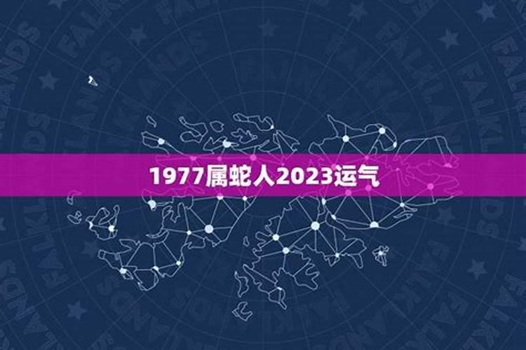 1977年女2023年运势