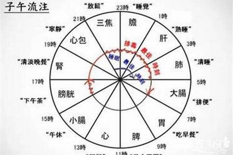 1959年各月生人一生运势如何