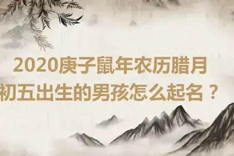 2023年犯太岁的生肖有猴吗