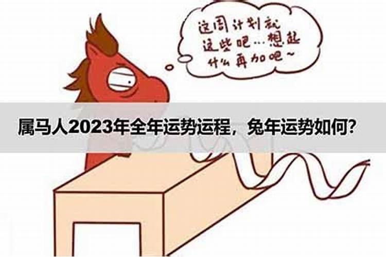 2023年属马人感情运势如何呢