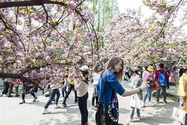 合肥清明节祭祀场所有哪些地方