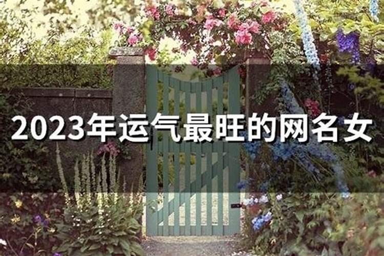 2023运气比较旺的网名男