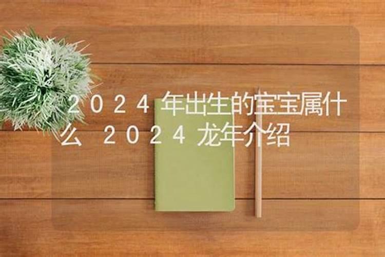 2024年出生的宝宝属什么