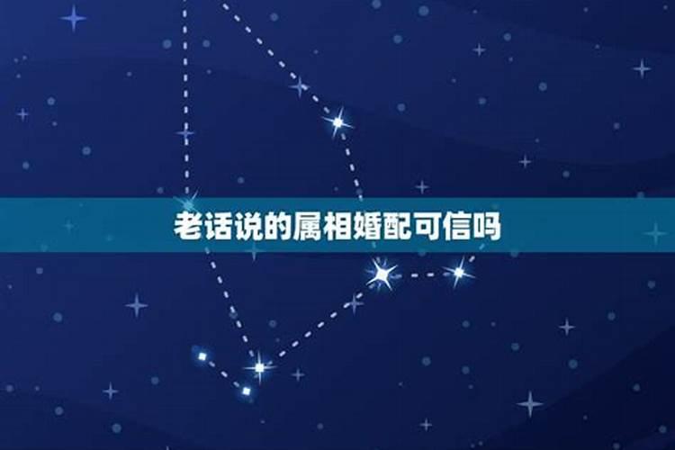 属相星座婚配可信吗