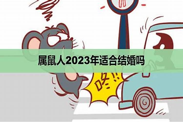 属鼠的人在2023年适合结婚吗女