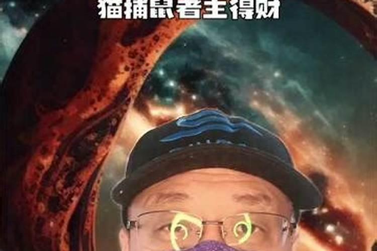 梦到很多老鼠到处跑然后又死了是什么意思