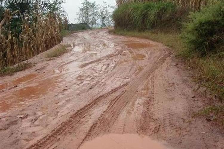 梦见回家的路到处都是水