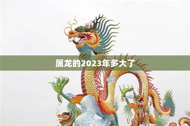 属龙的2023年多大了