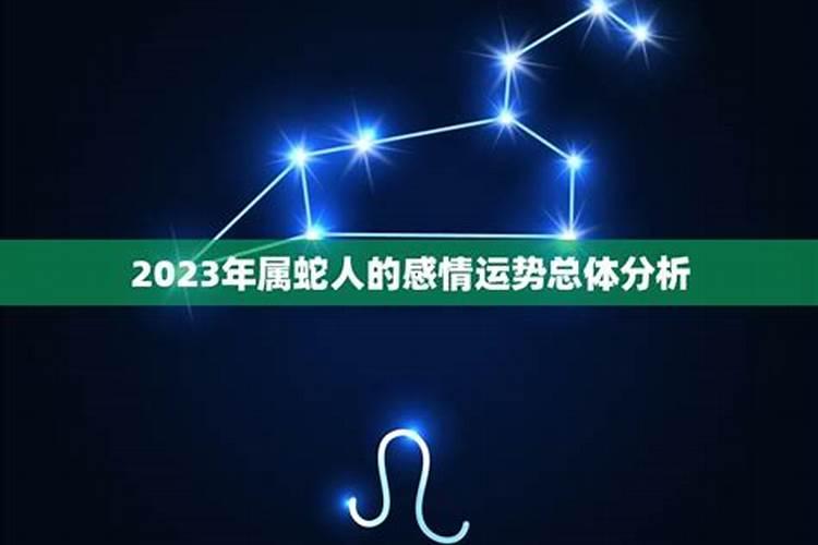 蛇年2023感情运势如何