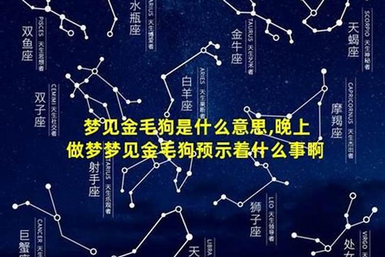 白天睡觉梦到狗是什么意思