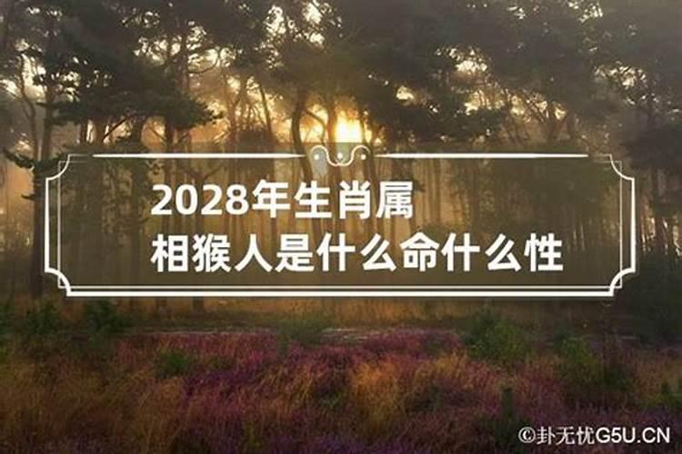 2027年本命年