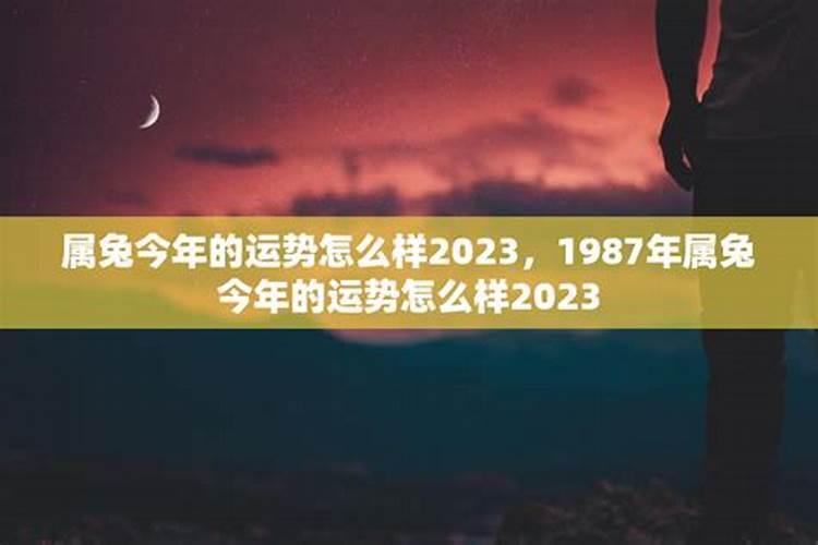 1987年今年属兔运势