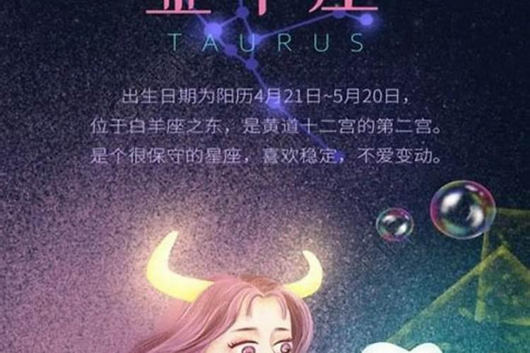 天蝎女追金牛男的方法