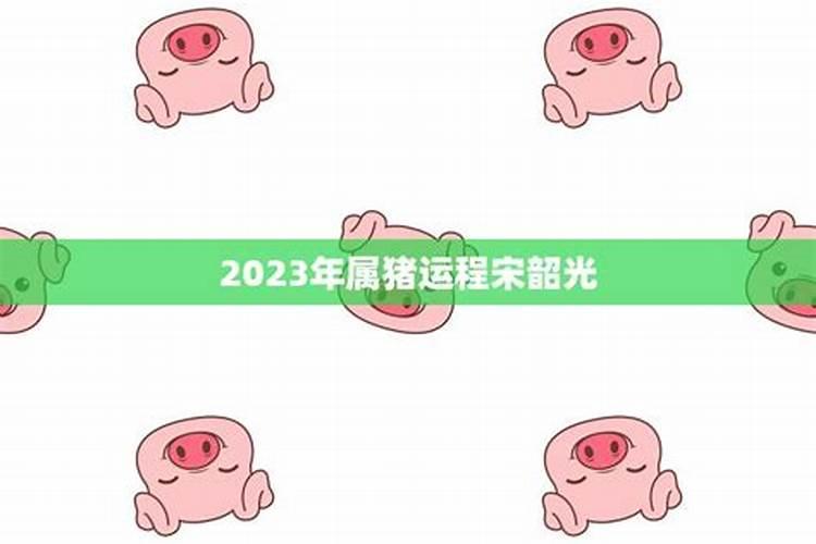 宋韶光2021年生肖