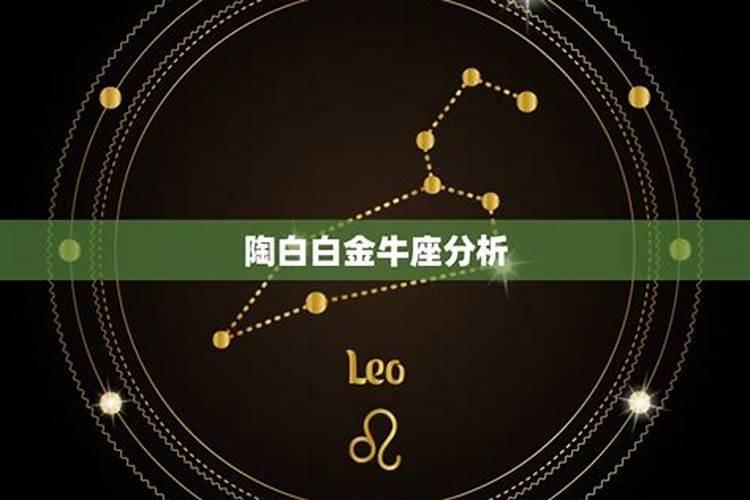 陶白白星座分析