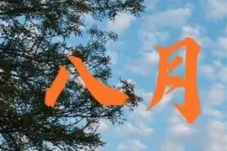 八月份双鱼座运势2021