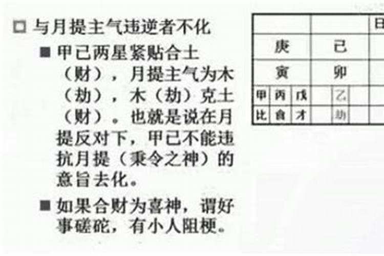 八字戊癸合主桃花旺吗