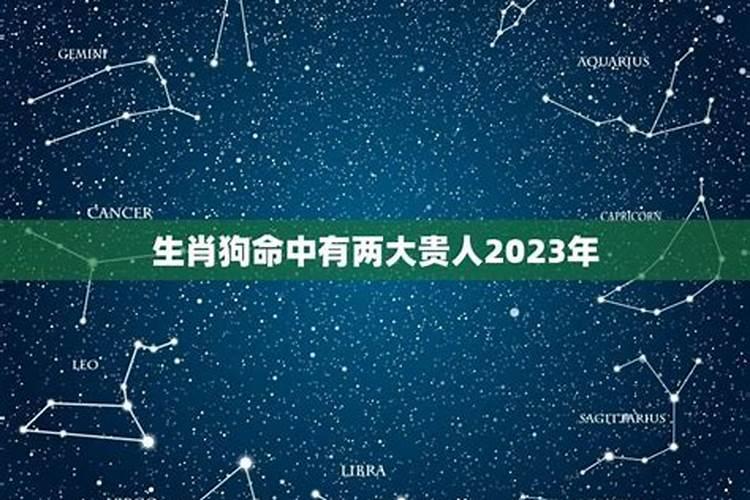 2023年哪个生肖好运呢