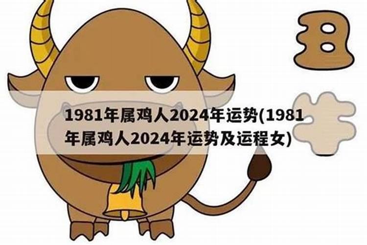 属鸡的2024年运势和财运