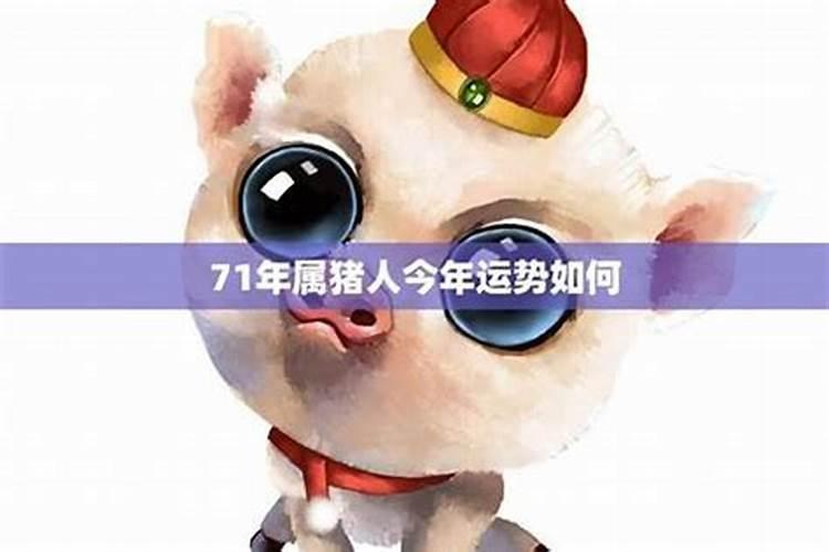 属猪71年5月初2的运势如何