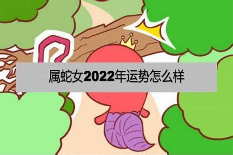 属蛇女2022年桃花运如何