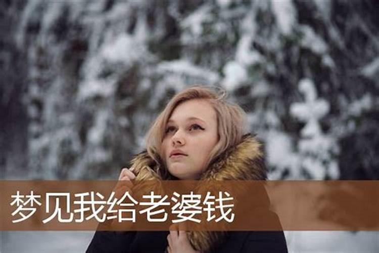 梦见老婆向我要钱好不好呀