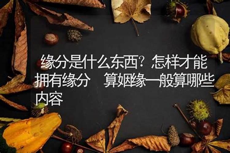 算命一般算哪些方面姻缘好