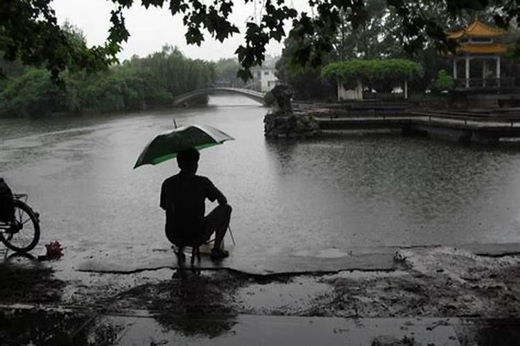 梦见下大雨的时候钓鱼