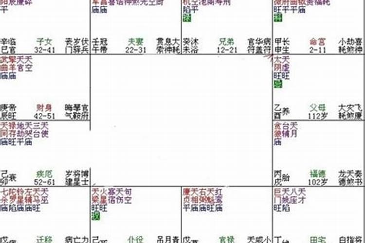 紫府夹命格是什么意思